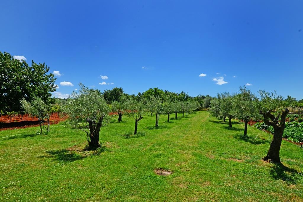 Apartments Mira Veleniki Εξωτερικό φωτογραφία